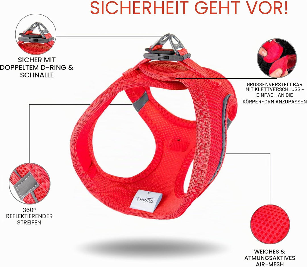 Air-Mesh Brustgeschirr für kleine und mittelgrosse Katzen und Hunde – Weich, Atmungsaktiv, Strapazie