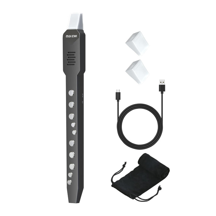 Digitales Blasinstrument, Elektrisches Blasinstrument Schwarz Unterstützt MIDI-Bluetooth, Elektronis