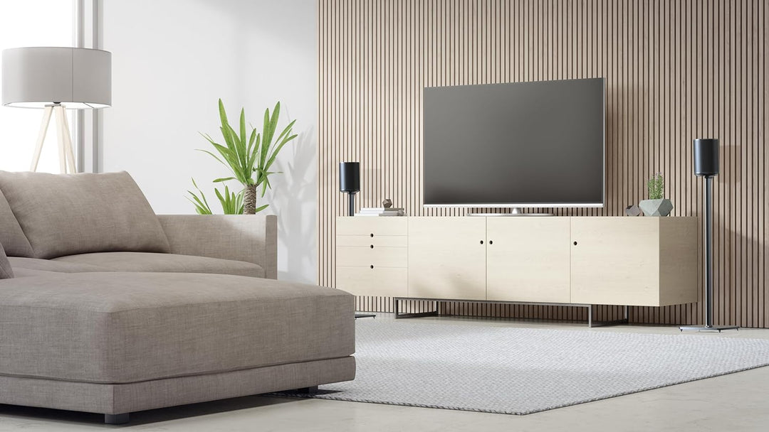 Flexson Bodenständer für Sonos ERA100, Schwarz Single Schwarz, Single Schwarz