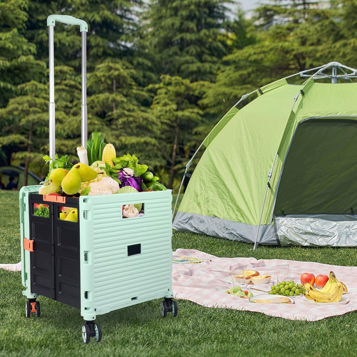 Faltbarer Einkaufswagen, 54L/45kg Hohe Kapazität Multifunktionaler Tragbarer Gebrauchswagen mit Tele