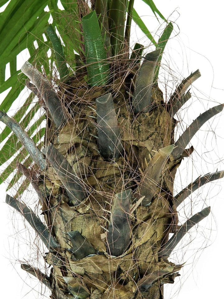 EUROPALMS Phönixpalme Luxor, Kunstpflanze, 240cm | Phönixpalme mit imposantem Blattwerk