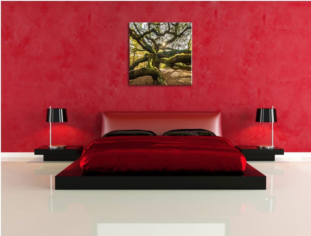 Pixxprint gigantisch verwzeigter Baum, Format: 70x70 auf Leinwand, 70x70