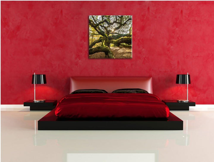 Pixxprint gigantisch verwzeigter Baum, Format: 70x70 auf Leinwand, 70x70