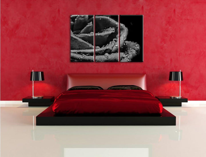 Pixxprint Tropfen auf roter Rose als Leinwandbild/Grösse: 3 Teilig (120x80) cm/Wandbild/Kunstdruck/f