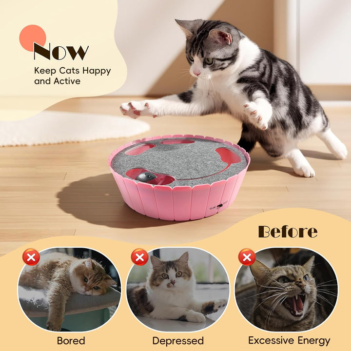 Pawaboo Interaktives Katzenspielzeug mit Bewegter Maus, Elektronisches Versteck- und Suchspiel, Auto