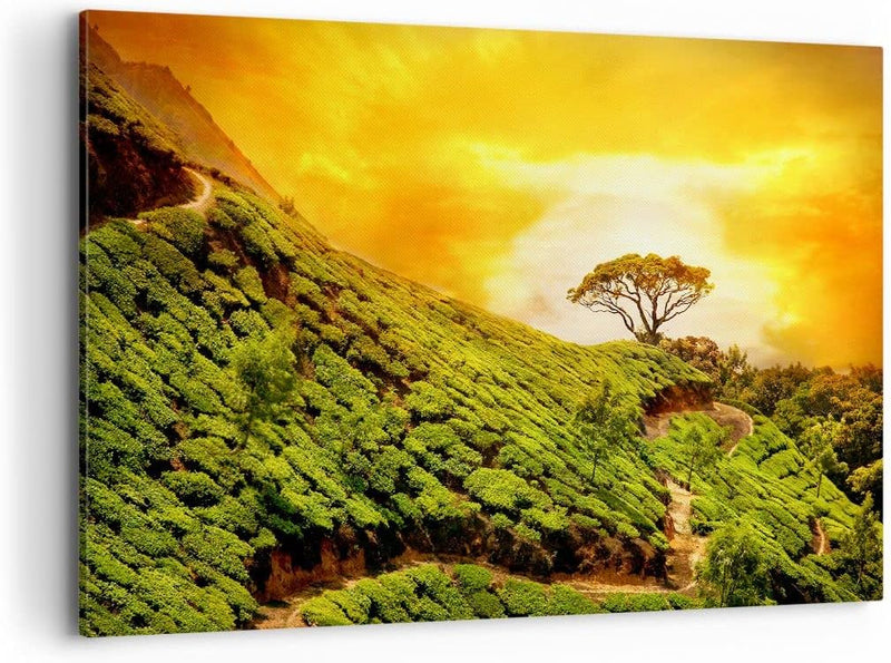 ARTTOR Bilder auf Leinwand 100x70cm Leinwandbild Berg Baum Pfad Hügel Gross Wanddeko Bild Schlafzimm