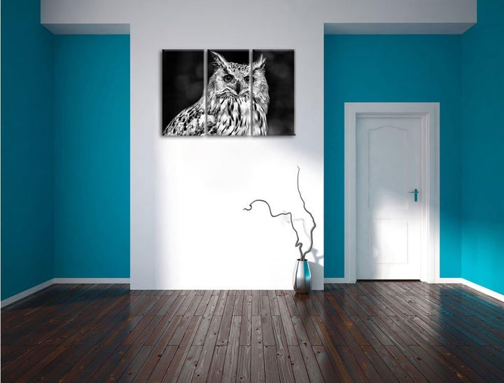 Pixxprint Monocrome, aufmerksame Waldohreule 3-Teiler Leinwandbild 120x80 Bild auf Leinwand
