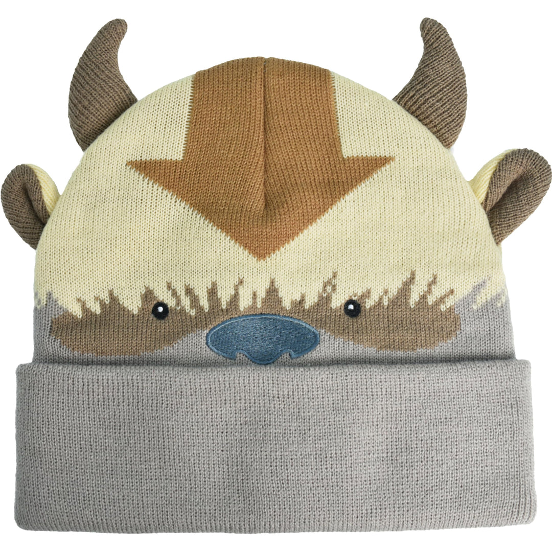 Avatar The Last Airbender Strickmütze für den Winter, mit Manschette, Mehrfarbig, Einheitsgrösse mul