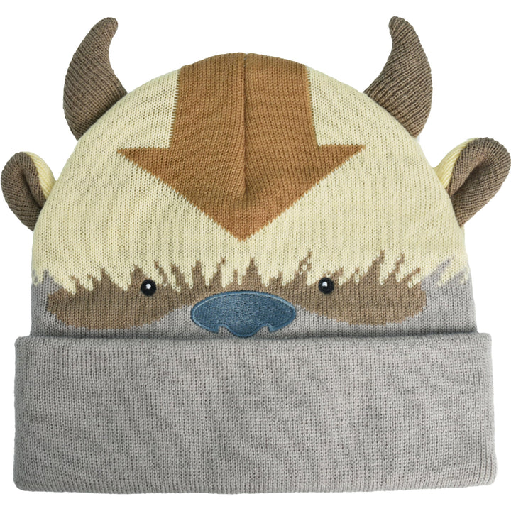 Avatar The Last Airbender Strickmütze für den Winter, mit Manschette, Mehrfarbig, Einheitsgrösse mul