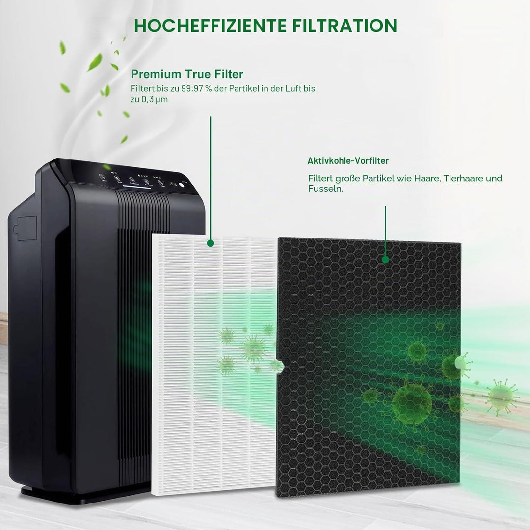 116130 Ersatzfilter H für Winix 5500-2 AM80 Luftreiniger, echte HEPA-Aktivkohle-Vorfilter, 2 Stück w