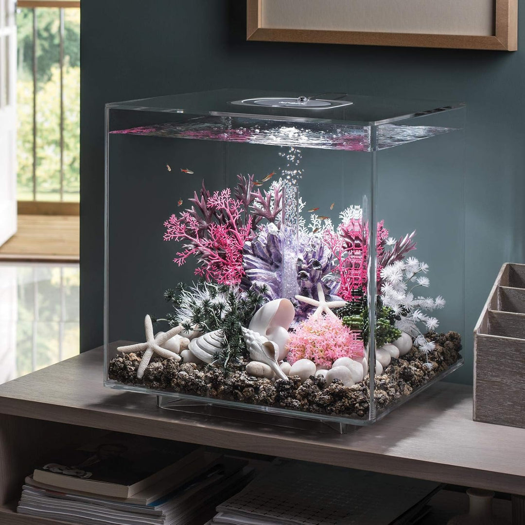 biOrb 48359 Rankentraube Ornament – naturnahe Aquariumdeko in Form von lila Polypen auf grauem Felse