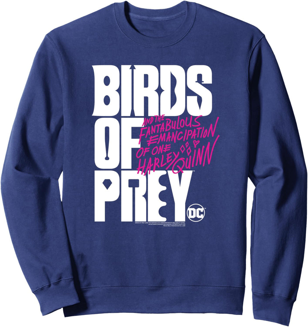 Birds of Prey Large Logo Sweatshirt