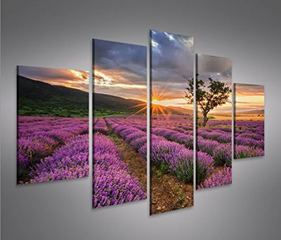 islandburner Bild Bilder auf Leinwand Lavendel Busch Büsche V2 MF XXL Poster Leinwandbild Wandbild D