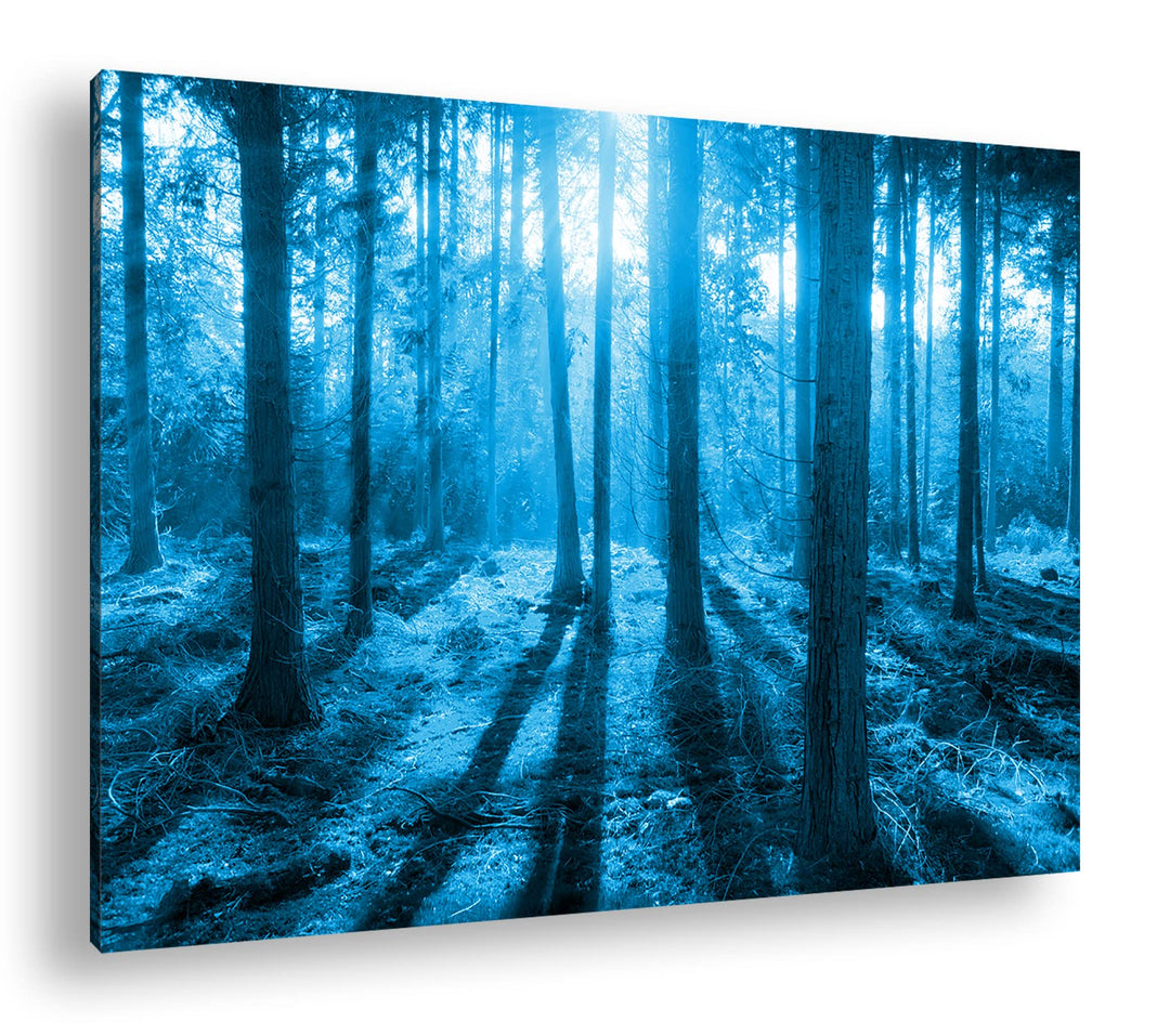 deyoli Moos bedeckter Wald Format: 80x60 Effekt: Monocrome Blau als Leinwand, Motiv fertig gerahmt a