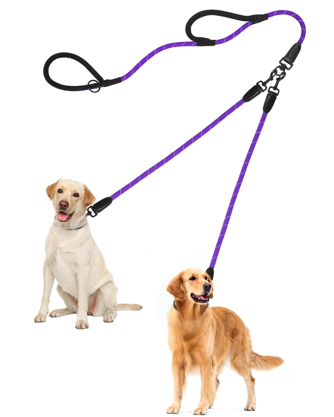 PetBonus Hundeleine Doppelleine für 2 Hunde, Keine Verwicklung Trainingsleine mit Zwei Gepolsterten