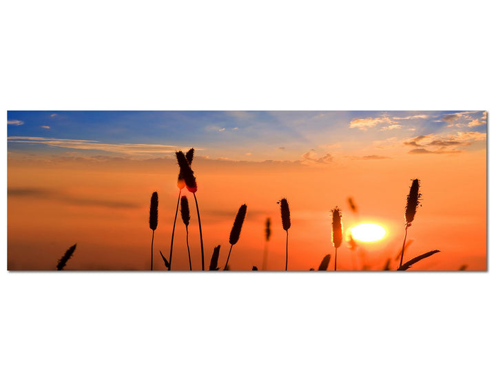 Paul Sinus Art Panoramabild auf Leinwand und Keilrahmen 150x50cm Getreide Feld Sommer Sonnenuntergan