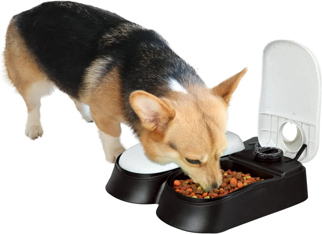 PAWISE Automatische Katzenfütterung 2-Mahlzeit Automatische Hundefütterung, mit 48-Stunden Timer, Hu