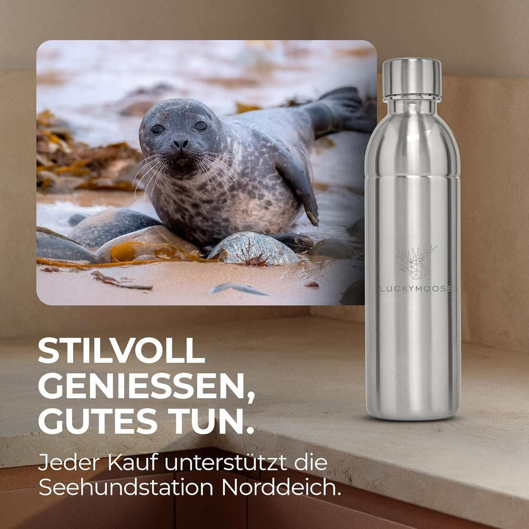 Infinity Edelstahlflaschen Wassersprudler 0,75L – Kompatibel mit der LM Infinity Serie, Aarke Carbon