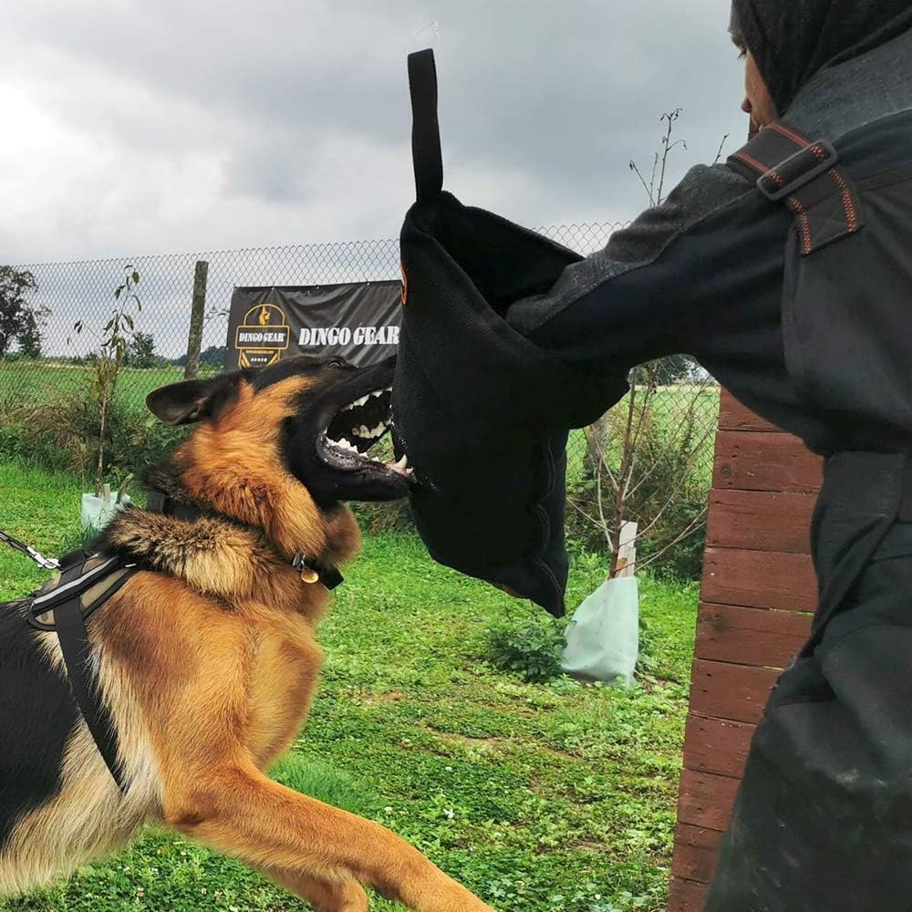 Dingo Gear Schutzarm Extern Hard aus Nylcot Blau Bissmanschette Hundeausbildung Hundetraining Bisstr