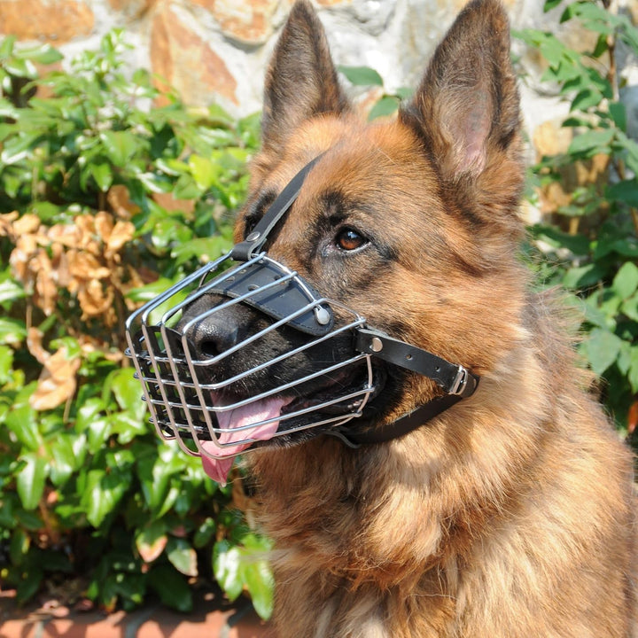 Dingo Mettal Maulkorb Nr9 Drahtmaulkorb befindet Sich kein Kunststoffgitter.für Hundetraining Handar