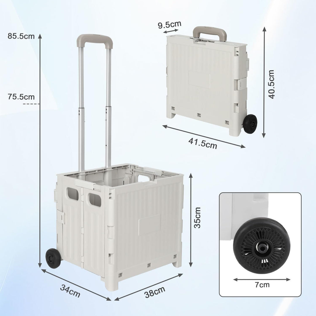 Einkaufstrolley 45 Liter faltbar, 2 grosse Räder, verstellbare Zugstange, bis 40kg belastbar, platzs