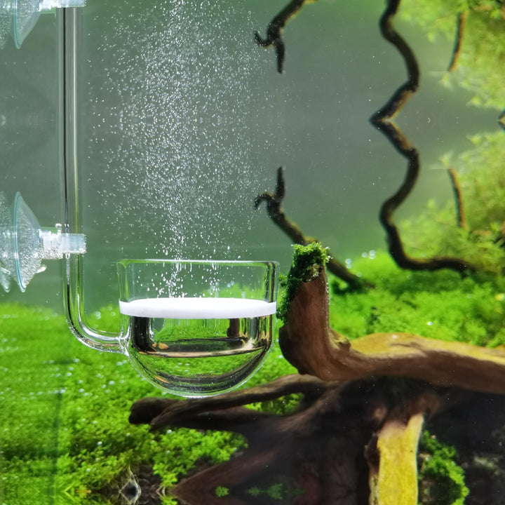 JARDLI Musik Glas CO2 Diffusor für Aquarium Pflanze (Φ30mm), Φ30mm