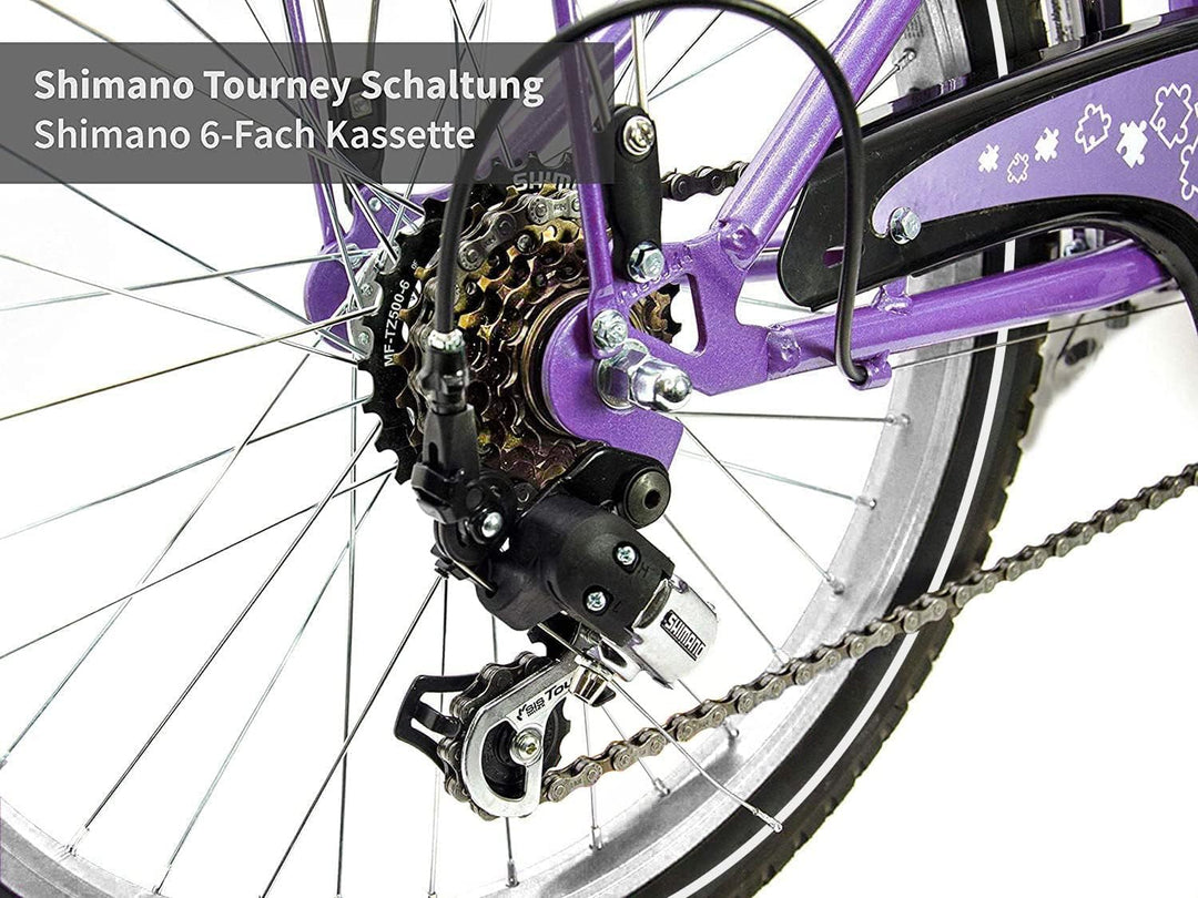 XB3 Kinderfahrrad 20 Zoll Mädchen mit Gangschaltung 6 Gänge StVZO Nabendynamo LED-Licht Standlicht V