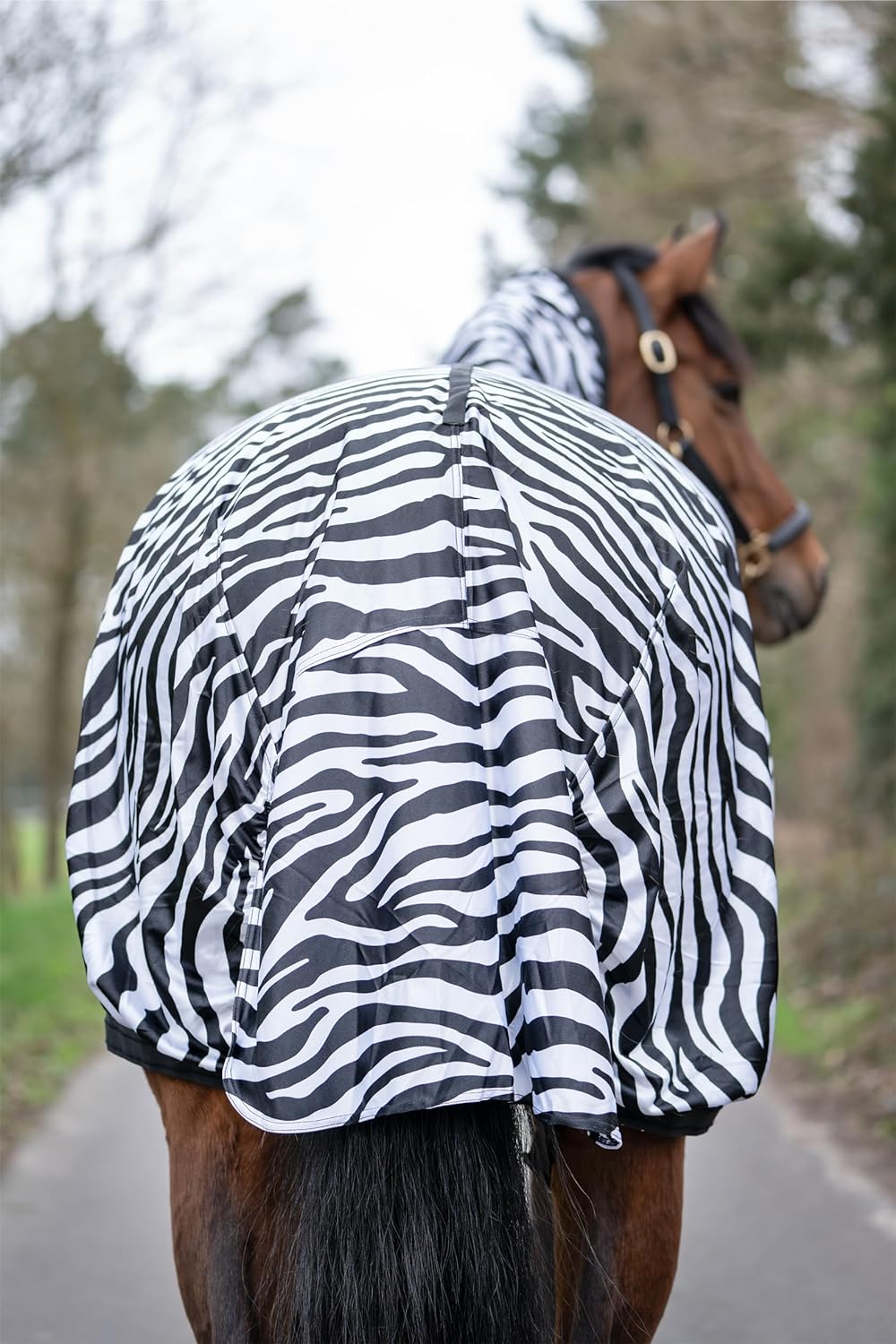 HKM 568204 Ekzemer Decke Zebra, 155 145, 145