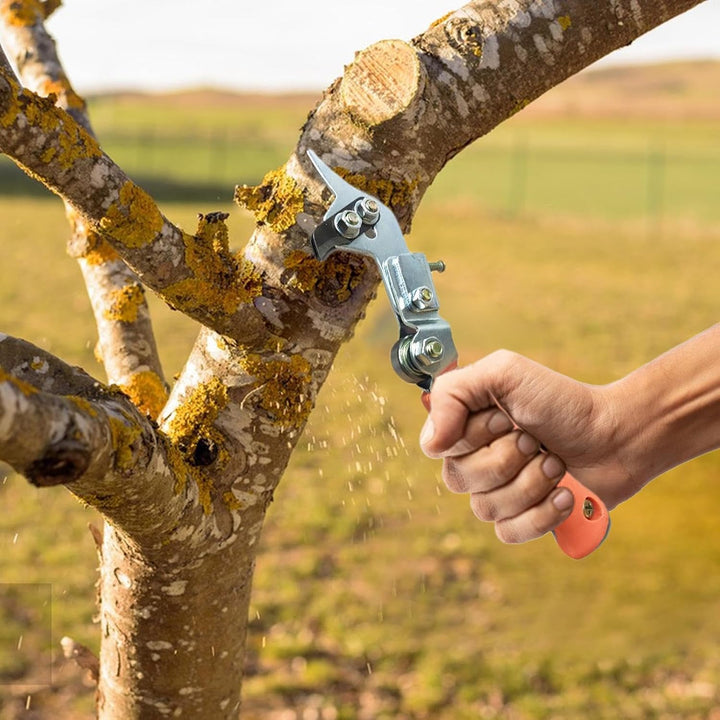 Obstbaum-Ringschneider | Verstellbare Rindenringelung für Obstbäume und Garten | Obstbaum-Ast-Schnei