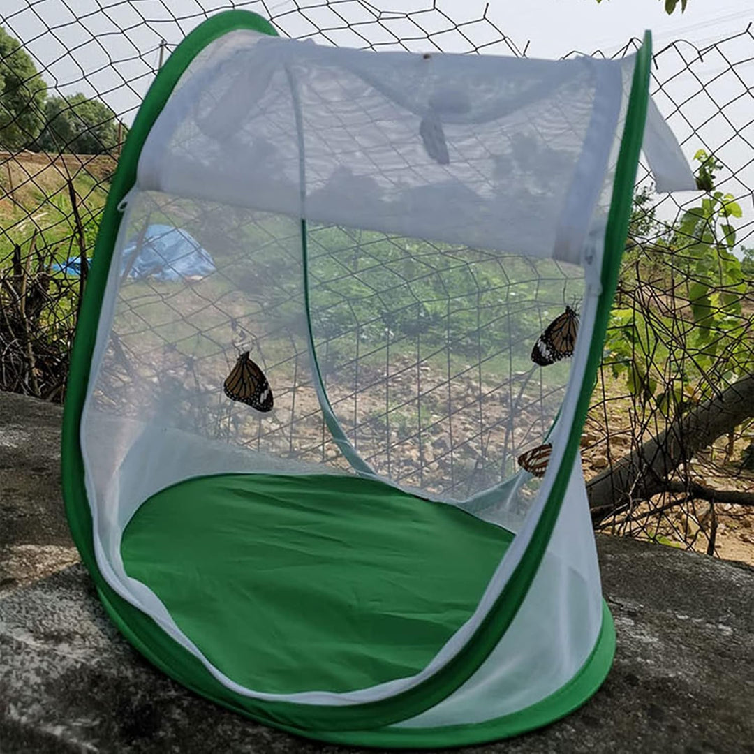 Insekten- und Schmetterlingslebensraum-Käfig mit Griff Faltbarer Schmetterlingslebensraum-grosser Gr