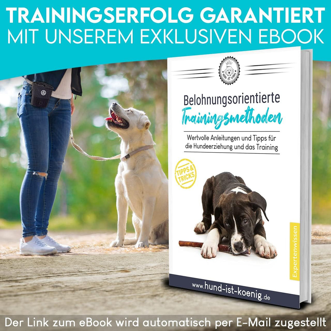 HUND IST KÖNIG® Leckerlibeutel für Hunde-Training - Robuster Futterbeutel Hunde, kompakt & funktiona