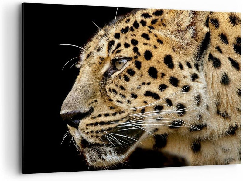 Bilder auf Leinwand 100x70cm Leinwandbild Tiere Leopard wilde Katze wilde Tiere Gross Wanddeko Bild