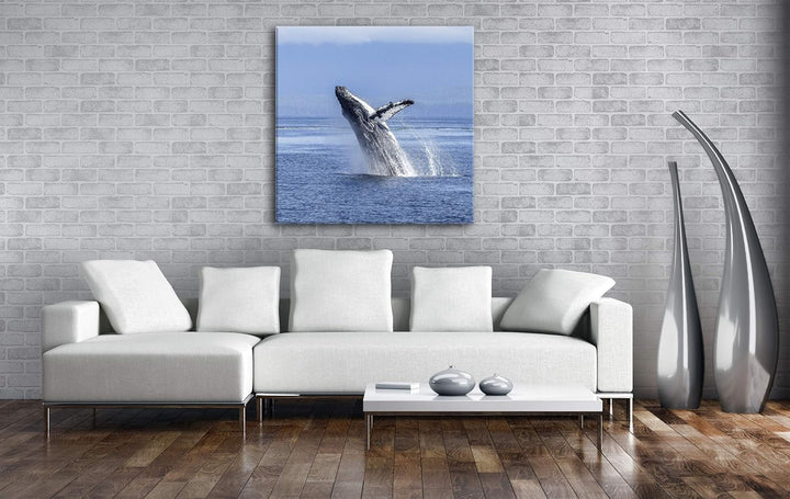 deyoli atemberaubender Buckelwal im Meer im Format: 70x70 als Leinwandbild, Motiv fertig gerahmt auf