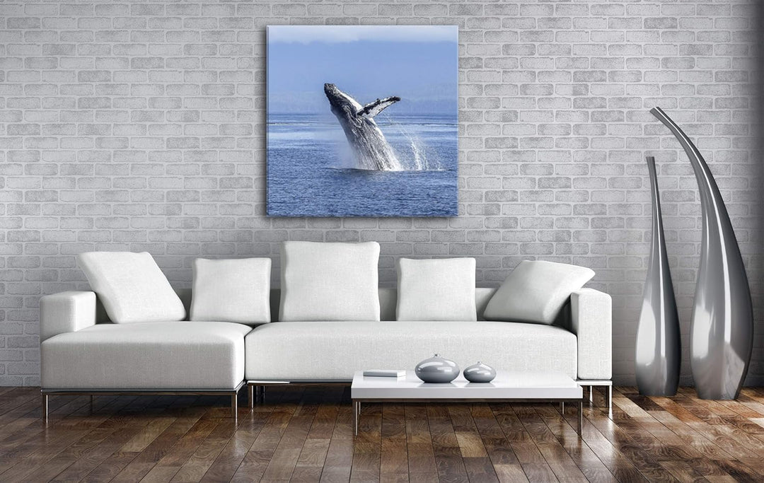 deyoli atemberaubender Buckelwal im Meer im Format: 60x60 als Leinwandbild, Motiv fertig gerahmt auf