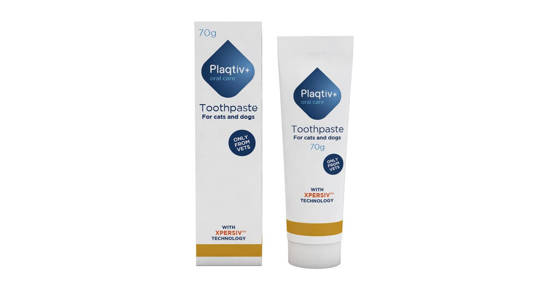 PLAQTIV + DENTIFRICO 70GR
