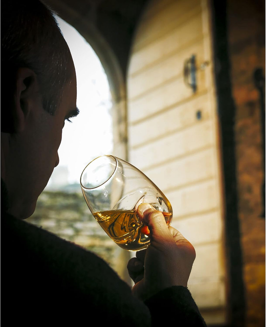 Peugeot Verkostungsglas für Bier, Wein und Whisky, Fassungsvermögen: 38 cl, Les Impitoyables - Le Ta