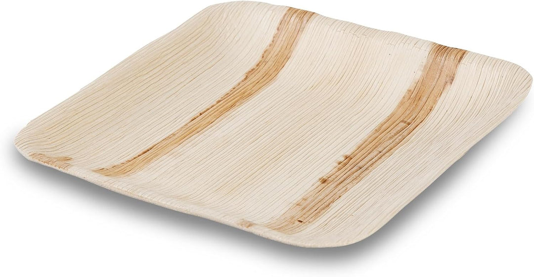 BIOZOYG Einwegteller 200 Stück 15x15 cm Palmblatt-Teller - Einweggeschirr kompostierbar - hochwertig