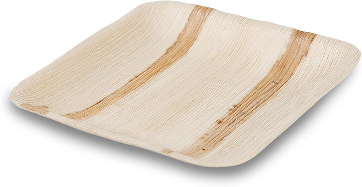 BIOZOYG Einwegteller 200 Stück 15x15 cm Palmblatt-Teller - Einweggeschirr kompostierbar - hochwertig