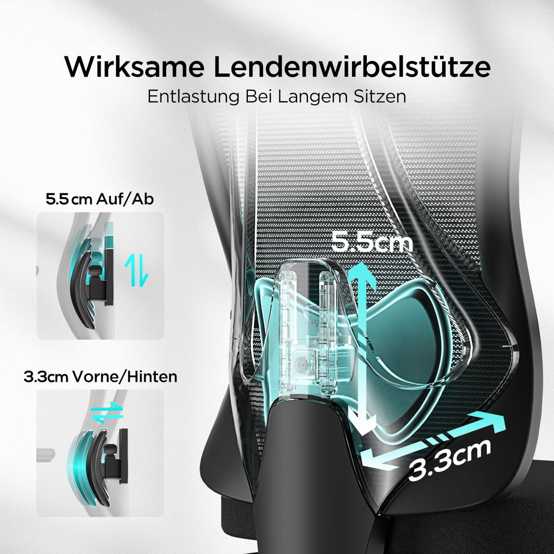 Hbada E1 Bürostuhl Ergonomisch, Schreibtischstuhl mit Verstellbarer Kopfstütze,Lendenwirbelstütze, G