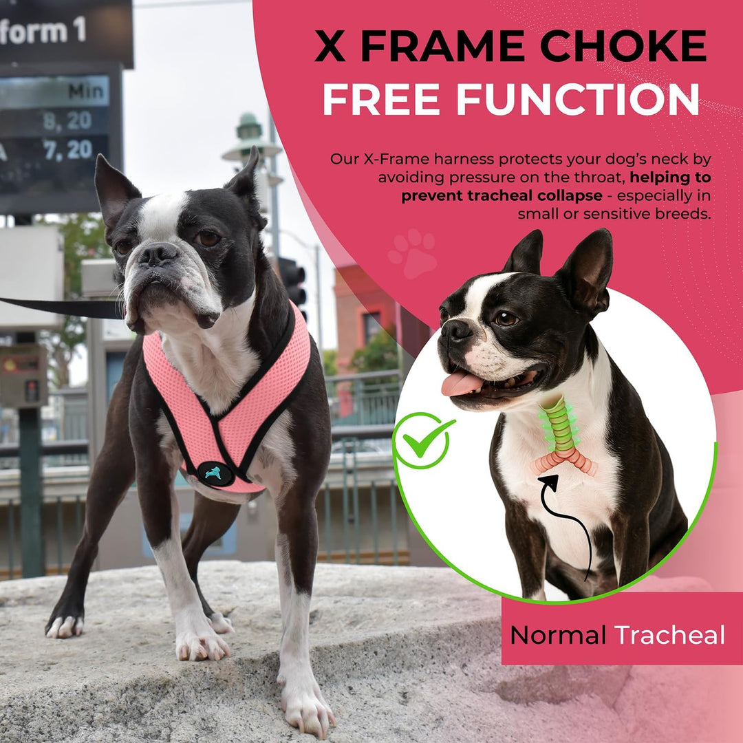 Comfort X Head in Harness – Rosa, Klein – No Pull Kleines Hundegeschirr Patentierter Würgefreier X-R