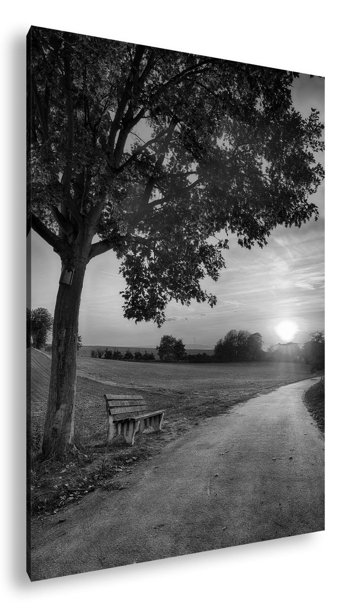 deyoli Spazierweg am Abend Format: 60x40 Effekt: Monocrome Blau als Leinwand, Motiv fertig gerahmt a