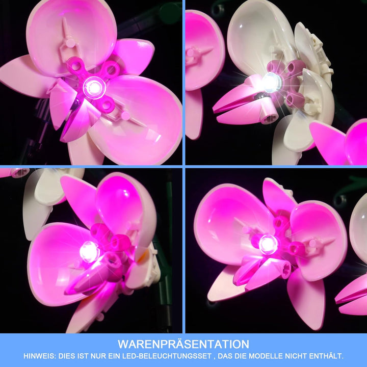 LocoLee Led Licht Set Kompatibel mit LEGO 10311 Orchidee Blumen Botanical Collection (Nur Lichter-Se