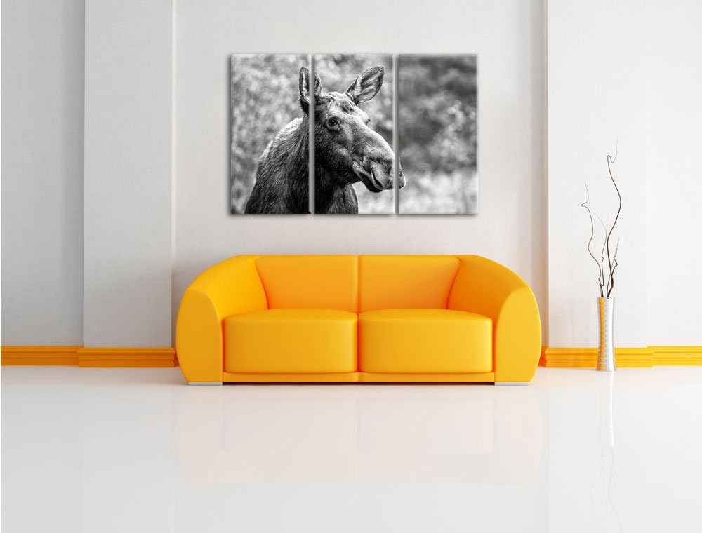 Pixxprint Elch im Wald Kunst B&W 3-Teiler Leinwandbild 120x80 Bild auf Leinwand