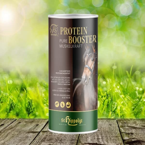 St. Hippolyt WES Protein Booster 0,75 kg Dose