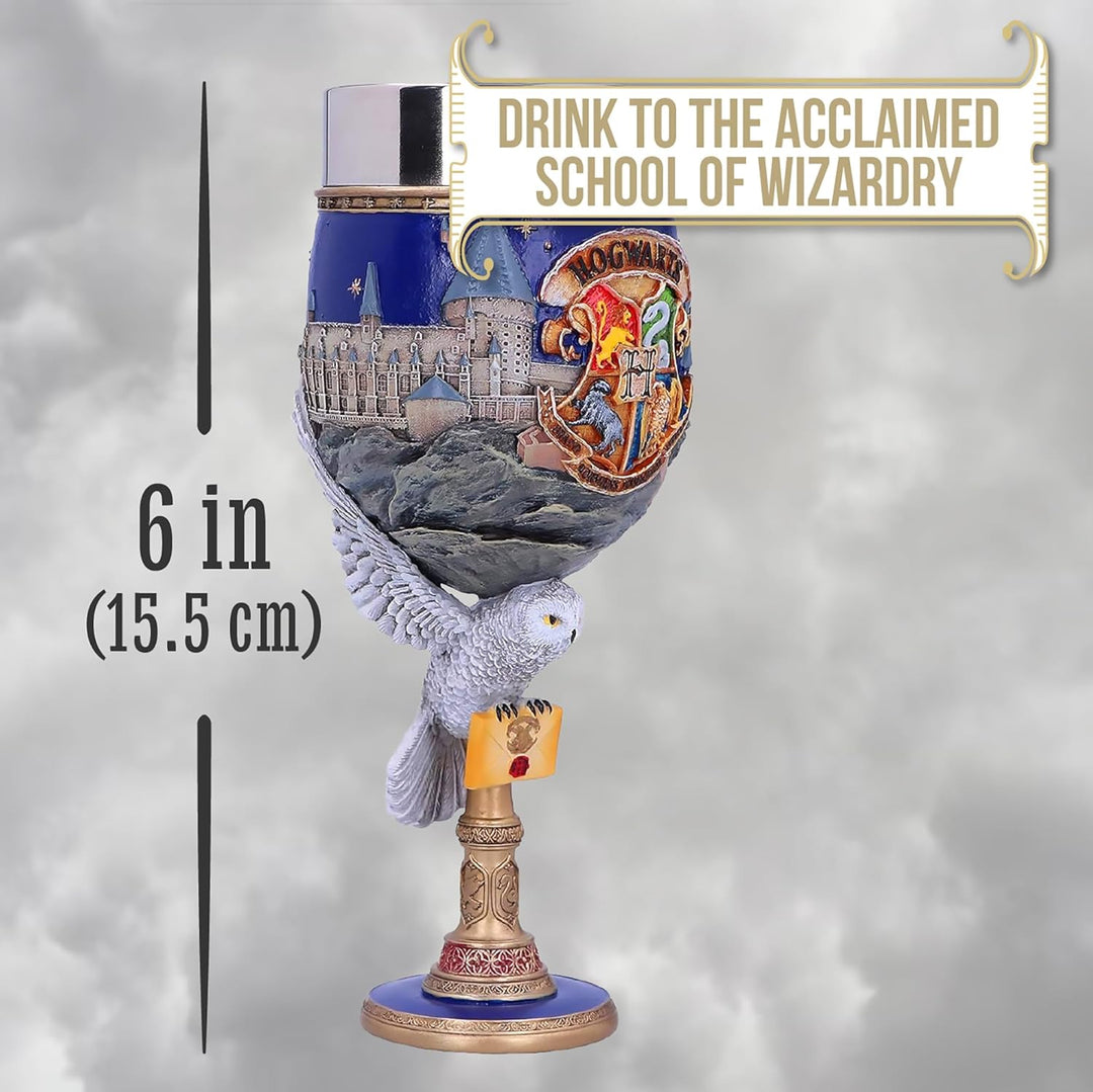 Nemesis Now Collectable Goblet Harry Potter Hogwarts School of Witchcraft and Wizardry Kelch zum Sam