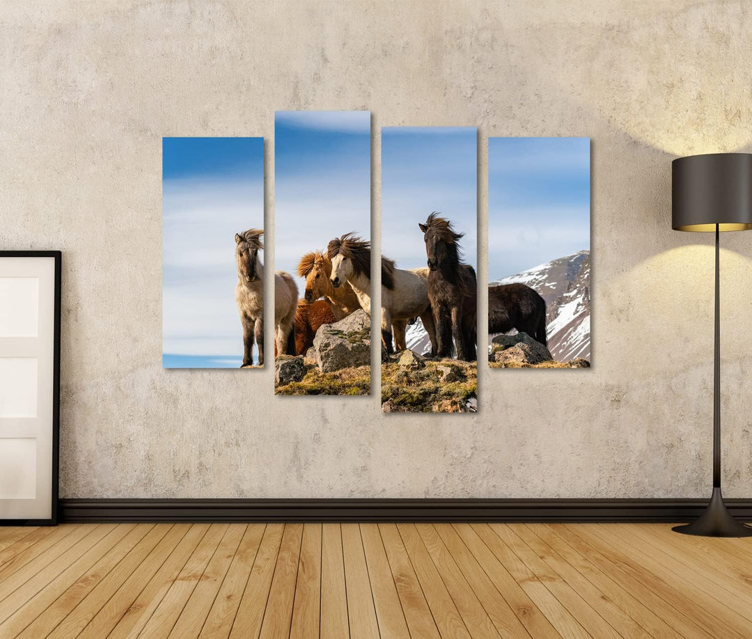 islandburner Bild auf Leinwand Isländische Pferde Pferderasse Geschaffen Island Schöne Winterausgabe