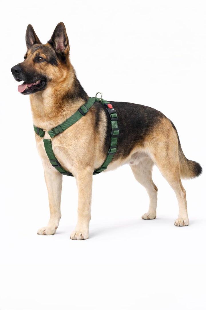 hundegeschirr - ziggi kaki H-Form - grösse XL - 70-110 cm / 85-120 cm - 25 mm - Nylon hundegeschirr