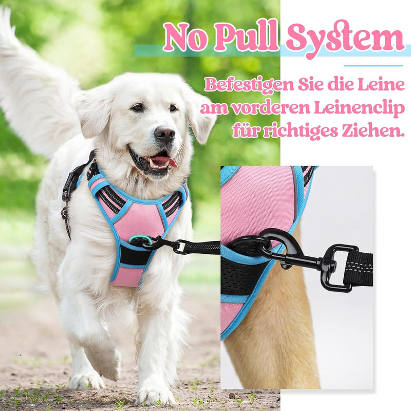 rabbitgoo Hundegeschirr Mittelgrosse Hunde Anti Zug Geschirr Hund mit Kontrolle No Pull Verstellbar