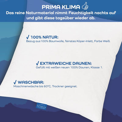 Böhmerwald Luxus Kopfkissen, 100 % Daunen, Füllgewicht: 300 g, Stützkomfort: extra weich, 40 x 80 cm