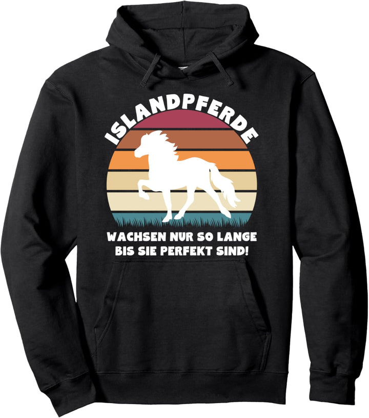 Isländer Islandpferd Islandpony Pullover Hoodie
